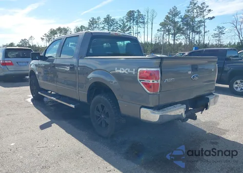 2010 Ford F-150 Xl/Xlt из США, поврежденный, VIN 1FTEW1E83AFC46001